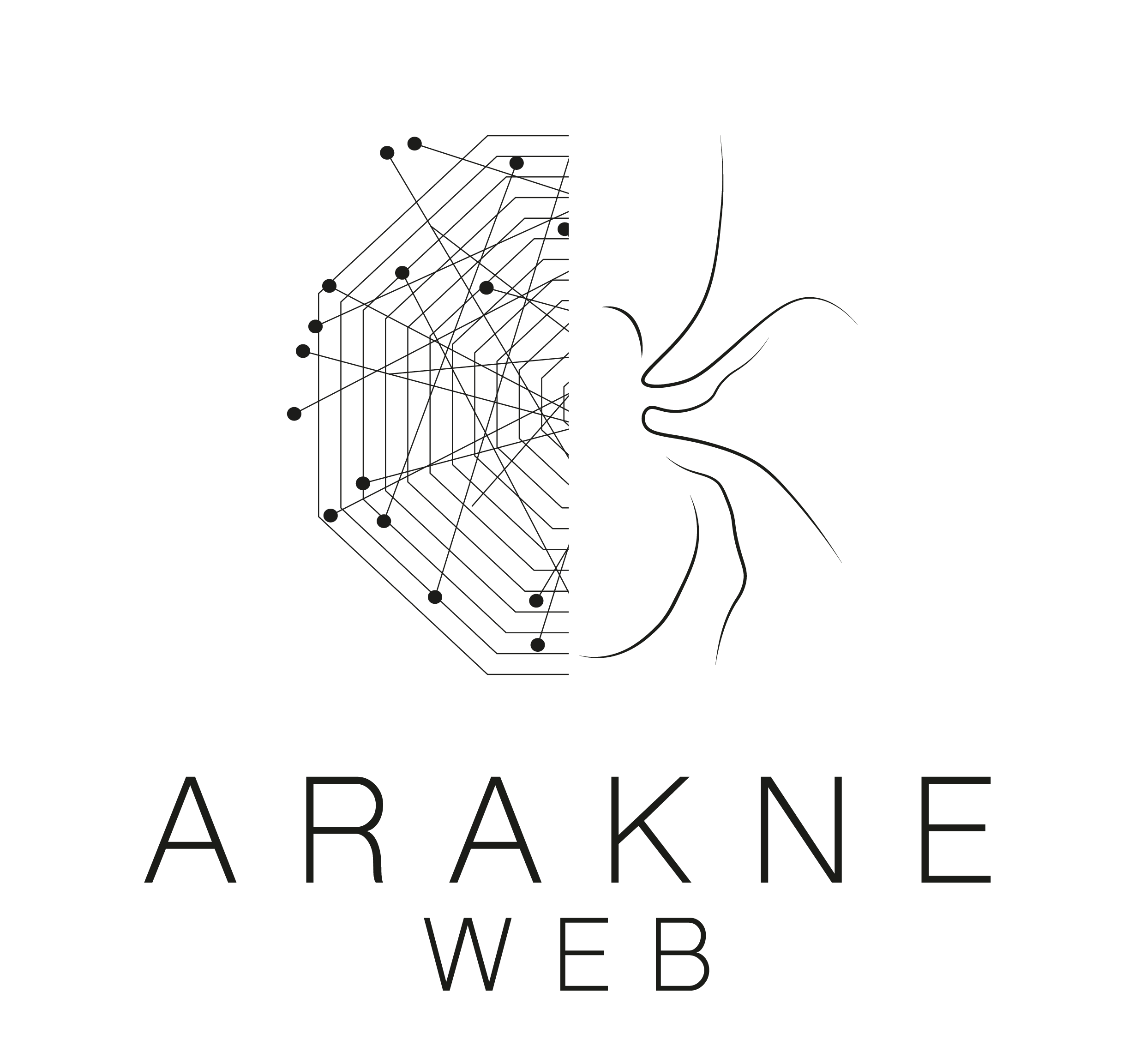 Arakne Web Logo, a website developer based on Paros and Athens Greece